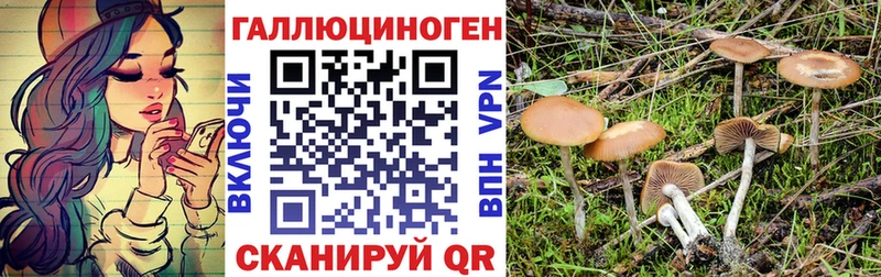 Галлюциногенные грибы Cubensis  Нягань 